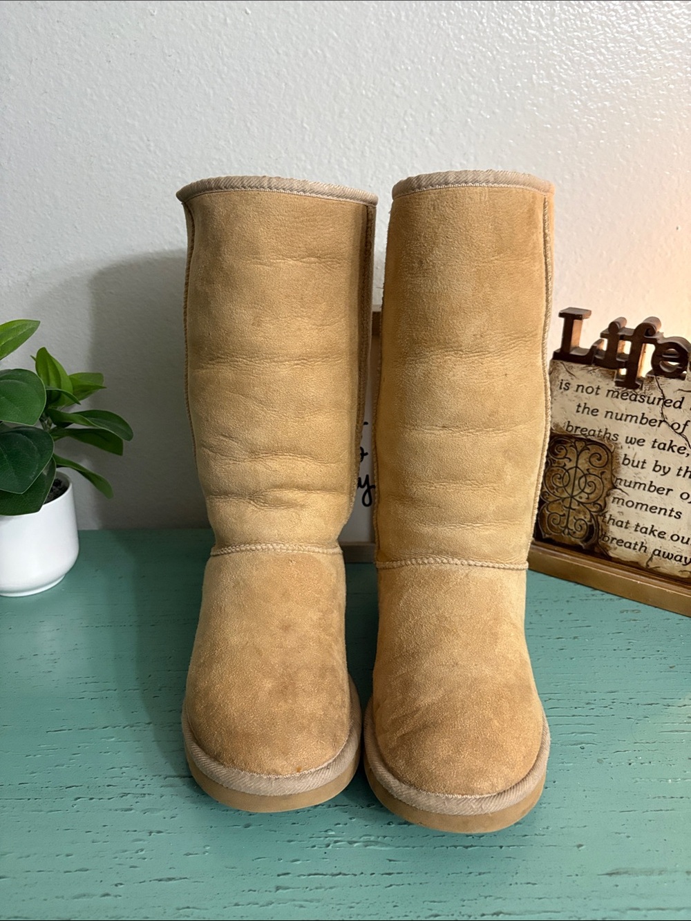 UGG Tall Suede Winter Boots - Chestnut